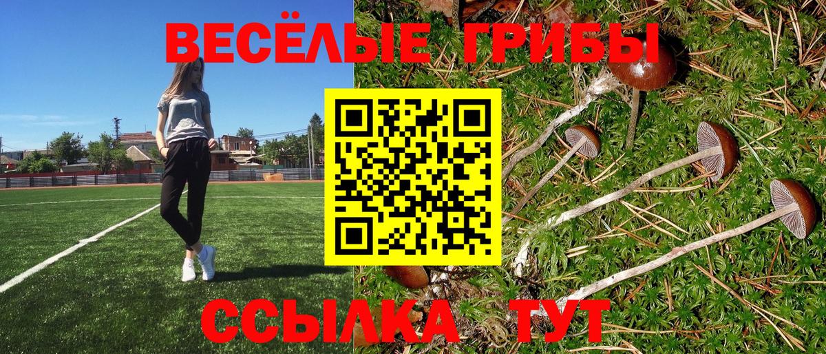 Галлюциногенные грибы Cubensis  Галлюциногенные грибы Psilocybe  Карпинск  Вход с VPN 